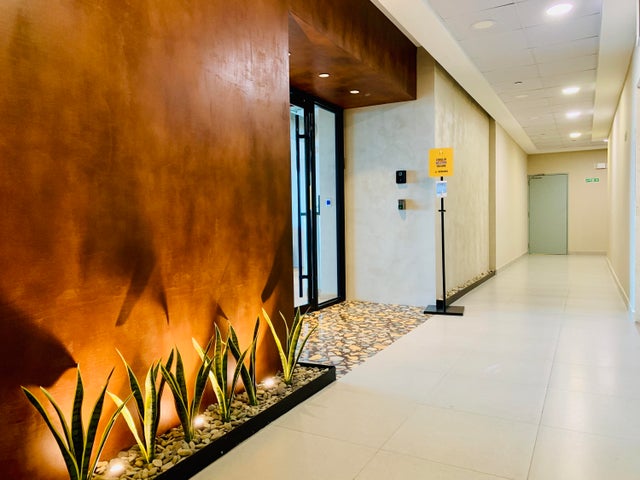 Flexible Office Space in Costa del Este